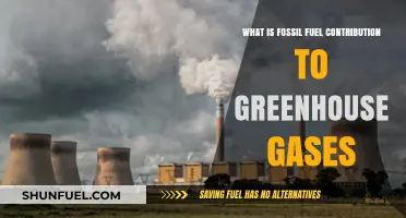 Fossil Fuels' Role in Rising Greenhouse Gas Emissions Explained