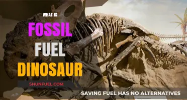 Unveiling the Connection: Fossil Fuels and Dinosaurs Explained