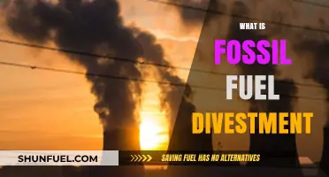 Understanding Fossil Fuel Divestment: A Climate Action Strategy Explained