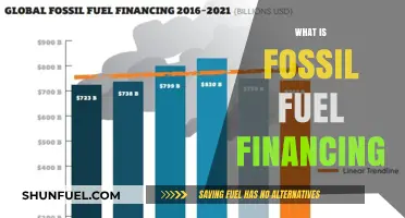 Understanding Fossil Fuel Financing: Impacts, Investments, and Alternatives
