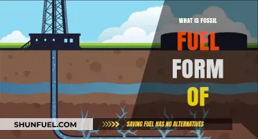 Understanding Fossil Fuels: Origins, Formation, and Energy Sources Explained
