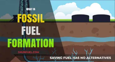 Understanding Fossil Fuel Formation: Origins, Processes, and Environmental Impact