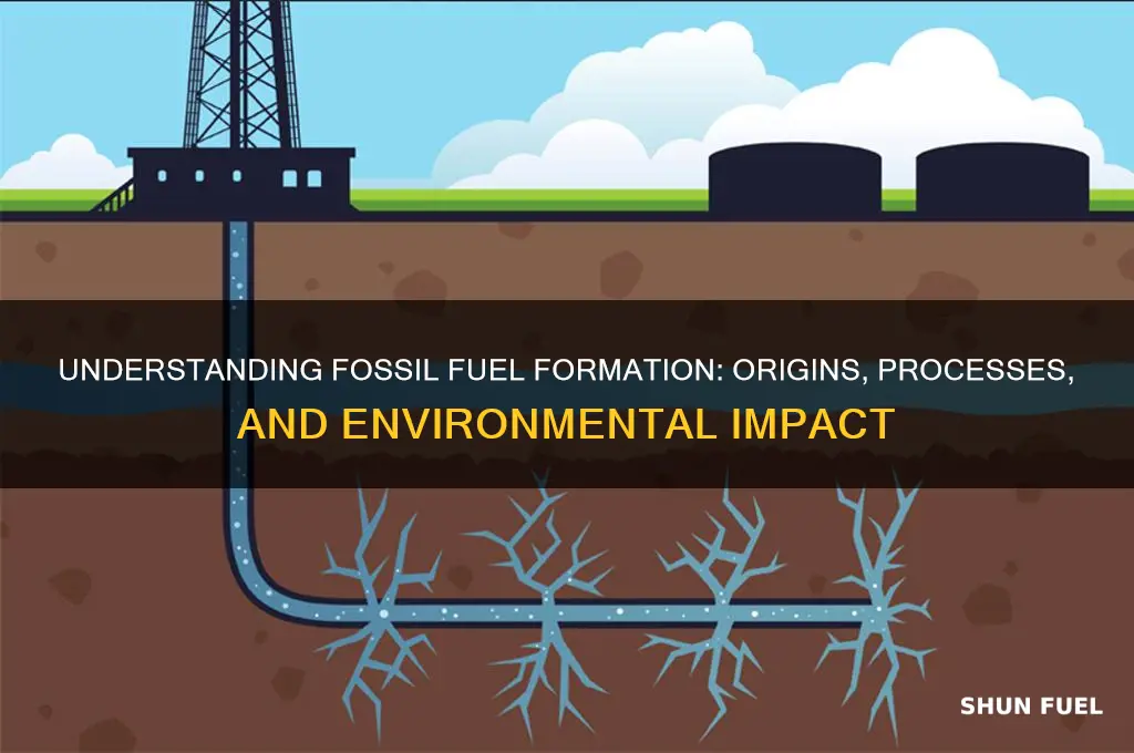 what is fossil fuel formation