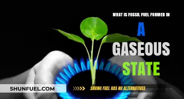 Understanding Gaseous Fossil Fuels: Formation, Extraction, and Environmental Impact