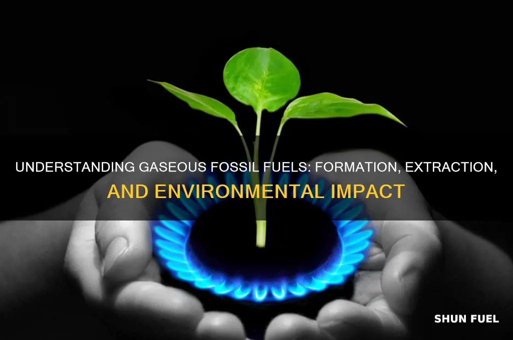 what is fossil fuel formed in a gaseous state