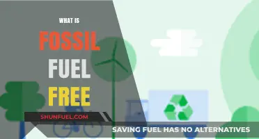 Understanding Fossil Fuel Free: Clean Energy Solutions for a Sustainable Future