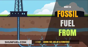 Understanding Fossil Fuels: Origins, Formation, and Environmental Impact