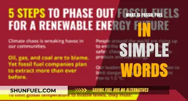 Understanding Fossil Fuels: A Simple Explanation for Everyone