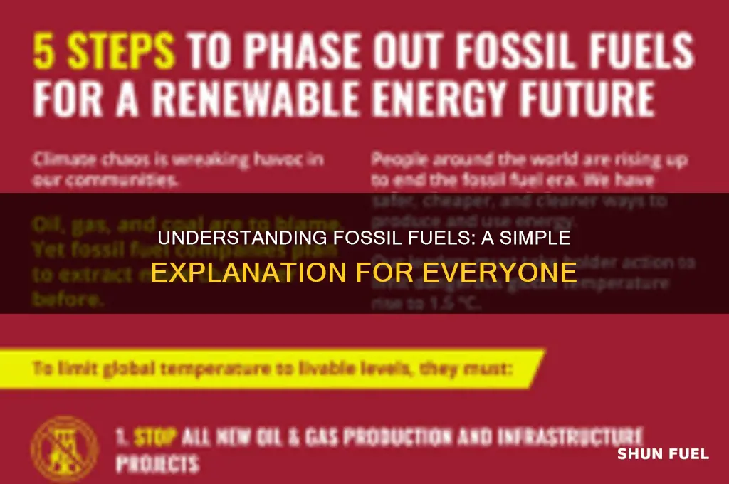 what is fossil fuel in simple words