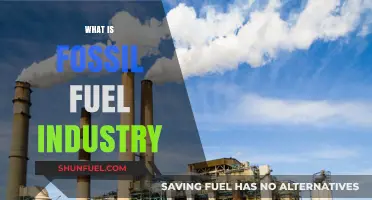 Understanding the Fossil Fuel Industry: History, Impact, and Future Trends