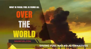 Global Fossil Fuels: Exploring Earth's Widespread Energy Reserves