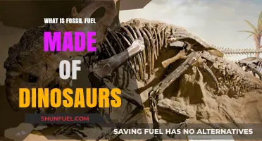 Are Fossil Fuels Really Made from Dinosaurs? Unraveling the Myth