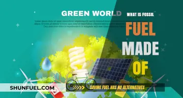 Fossil Fuels: Ancient Organisms, Modern Energy Sources