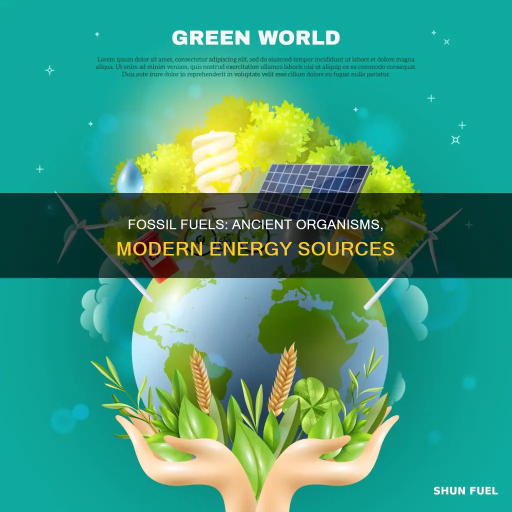 what is fossil fuel made of