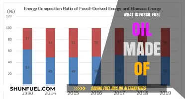 Understanding Fossil Fuel Oil: Composition, Formation, and Key Components