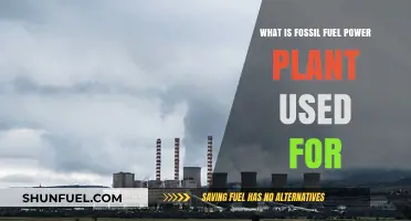 Understanding Fossil Fuel Power Plants: Uses and Applications