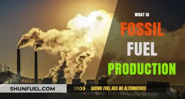 Understanding Fossil Fuel Production: Processes, Impact, and Future Trends