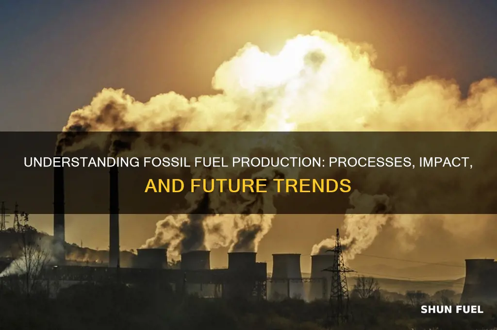 what is fossil fuel production