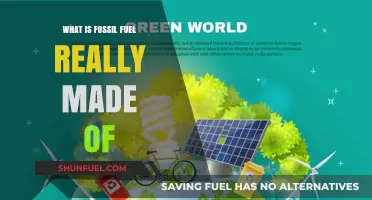 Unveiling Fossil Fuels: Organic Origins and Ancient Energy Composition Explained