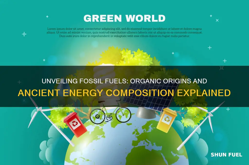 what is fossil fuel really made of