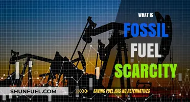Understanding Fossil Fuel Scarcity: Causes, Impacts, and Sustainable Alternatives