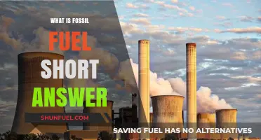Understanding Fossil Fuels: A Concise Explanation of Their Nature and Use