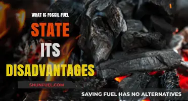Fossil Fuels: Understanding Their Disadvantages and Environmental Impact