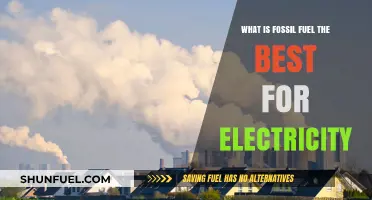 Fossil Fuels: Reliable Electricity Source or Outdated Energy Choice?