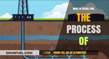 Understanding Fossil Fuels: Formation, Extraction, and Environmental Impact Explained