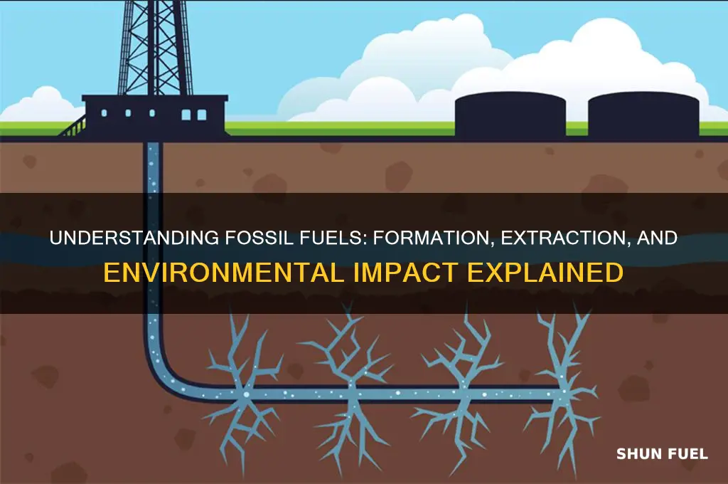 what is fossil fuel the process of