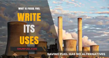 Understanding Fossil Fuels: Their Uses and Impact on Our World