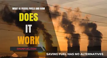 Understanding Fossil Fuels: How They Power Our World and Work