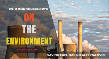 Fossil Fuels' Devastating Environmental Impact: Climate Change and Beyond