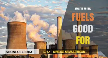 Fossil Fuels: Essential Uses and Their Impact on Modern Life