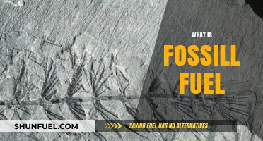 Understanding Fossil Fuels: Origins, Uses, and Environmental Impact Explained