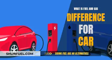 Fuel and Gas: What's the Difference for Your Car?