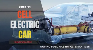 Fuel Cell Electric Cars: How Do They Work?