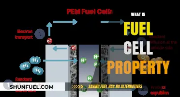 Understanding Fuel Cell Properties: Key Characteristics and Applications