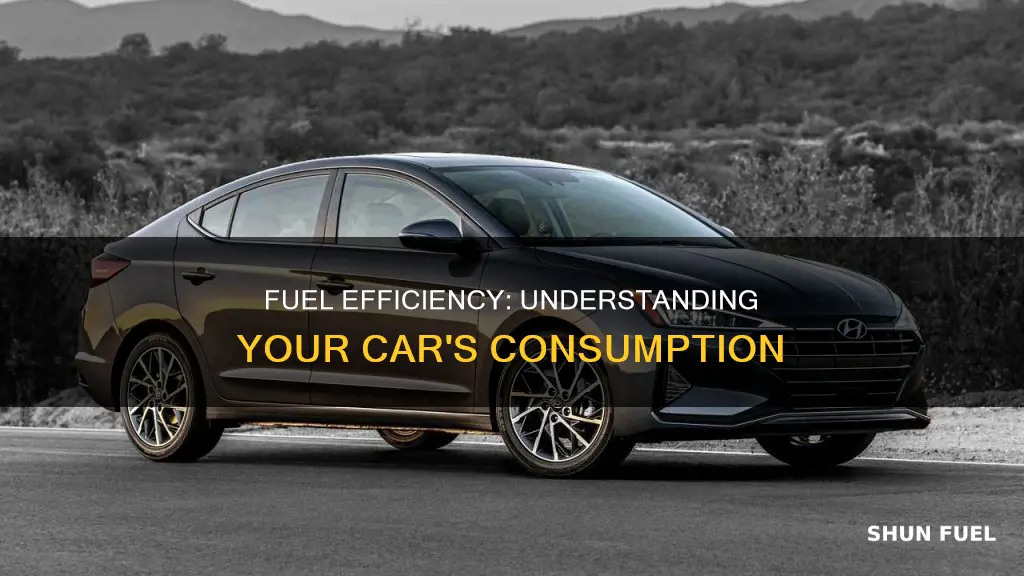 what is fuel consumption of my car