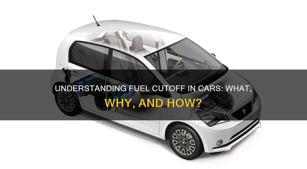 what is fuel cutou in a car
