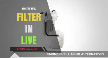 Fuel Filters: What They Do and Why They're Important