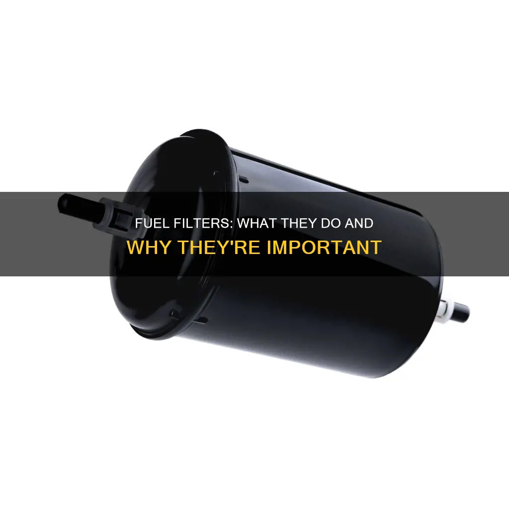 what is fuel filter in live