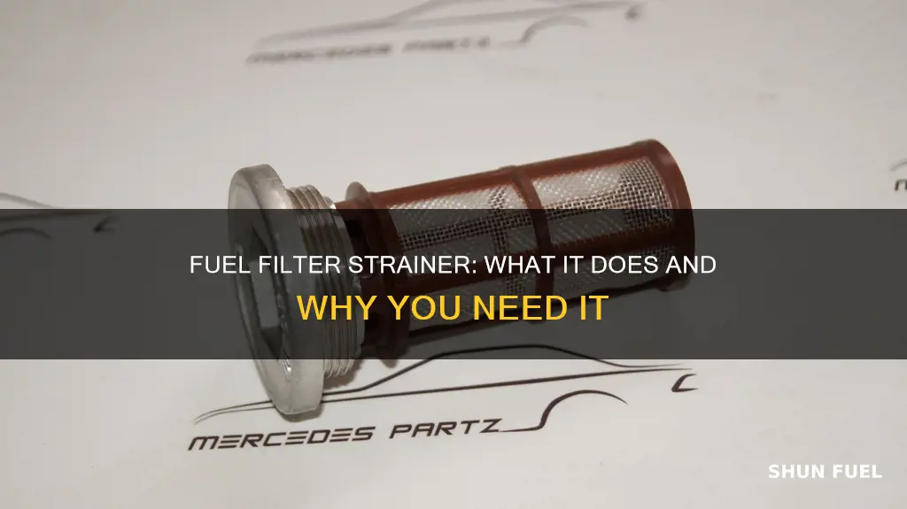 what is fuel filter strainer