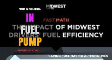 Understanding Fuel Index: A Key Factor in Fuel Pump Efficiency