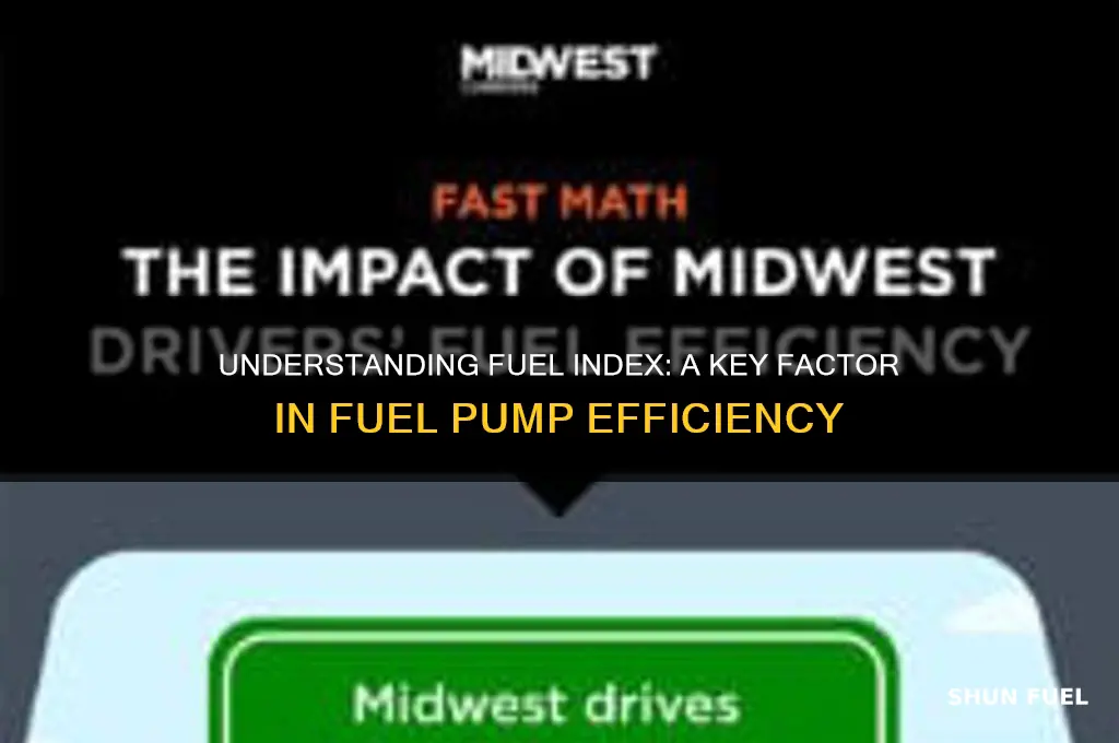 what is fuel index in fuel pump