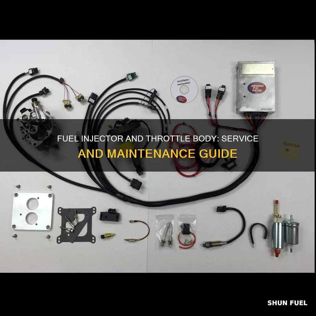 what is fuel injector and throttle body service