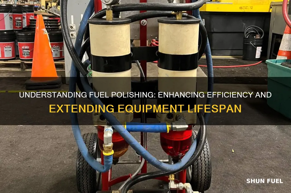 what is fuel polishing