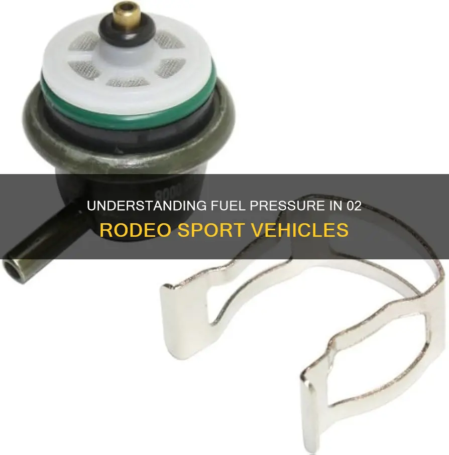 what is fuel pressure 02 rodeo sport