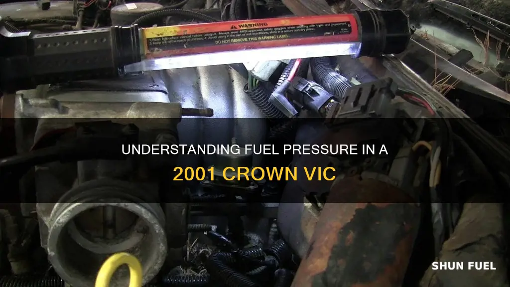 what is fuel pressure 2001 crown vic