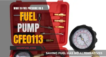 Understanding Fuel Pressure: CFE0113 Pump Performance